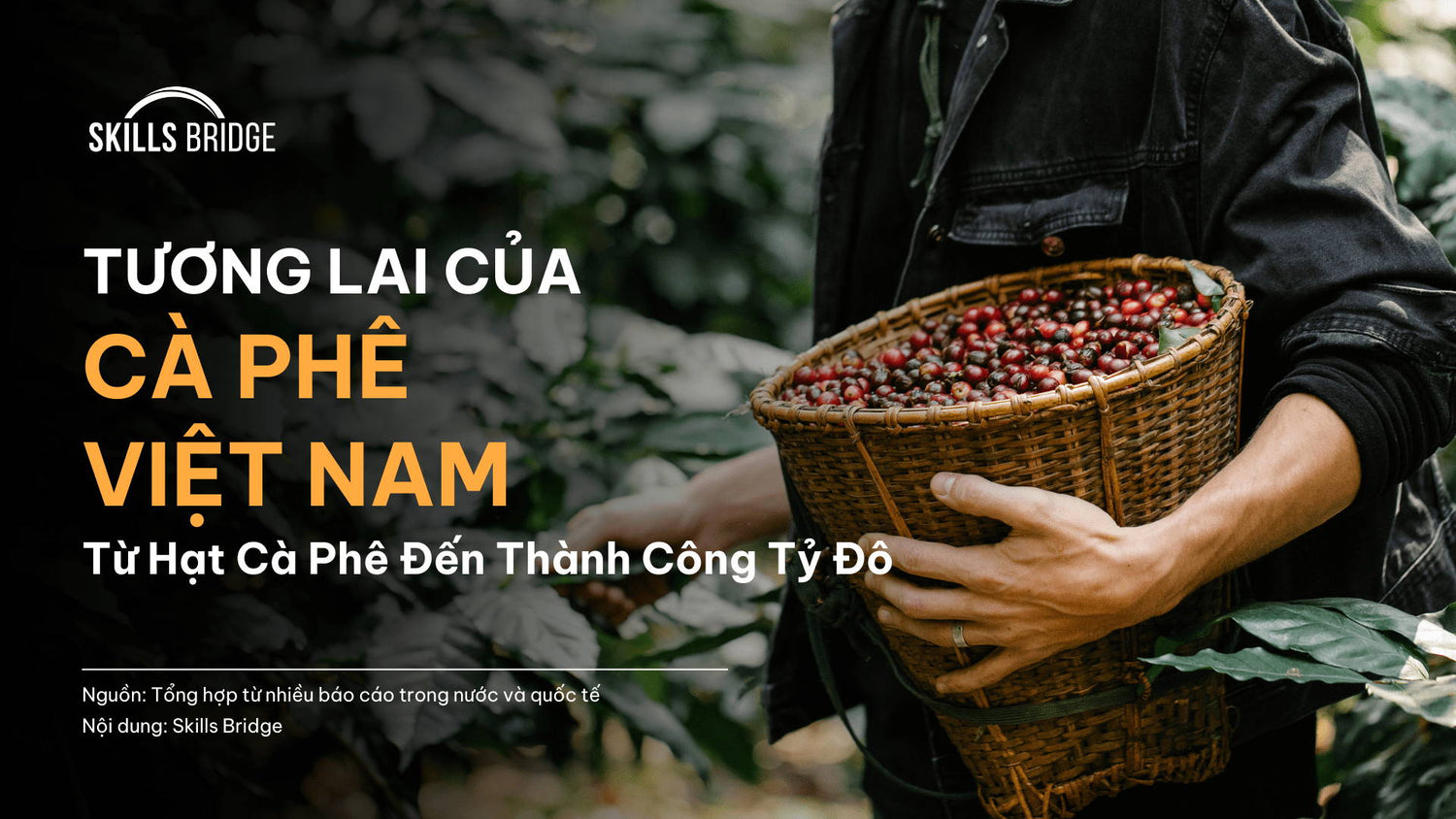Tương Lai Của Cà Phê Việt Nam: Từ Hạt Đến Tỉ Đô