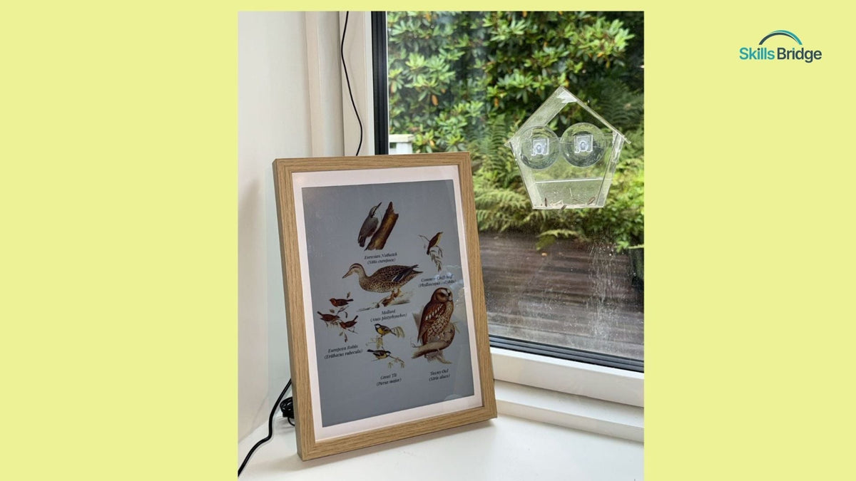 Fugleramme - Dự án mã nguồn mở nhận diện tiếng chim và tự hiển thị tranh minh hoạ