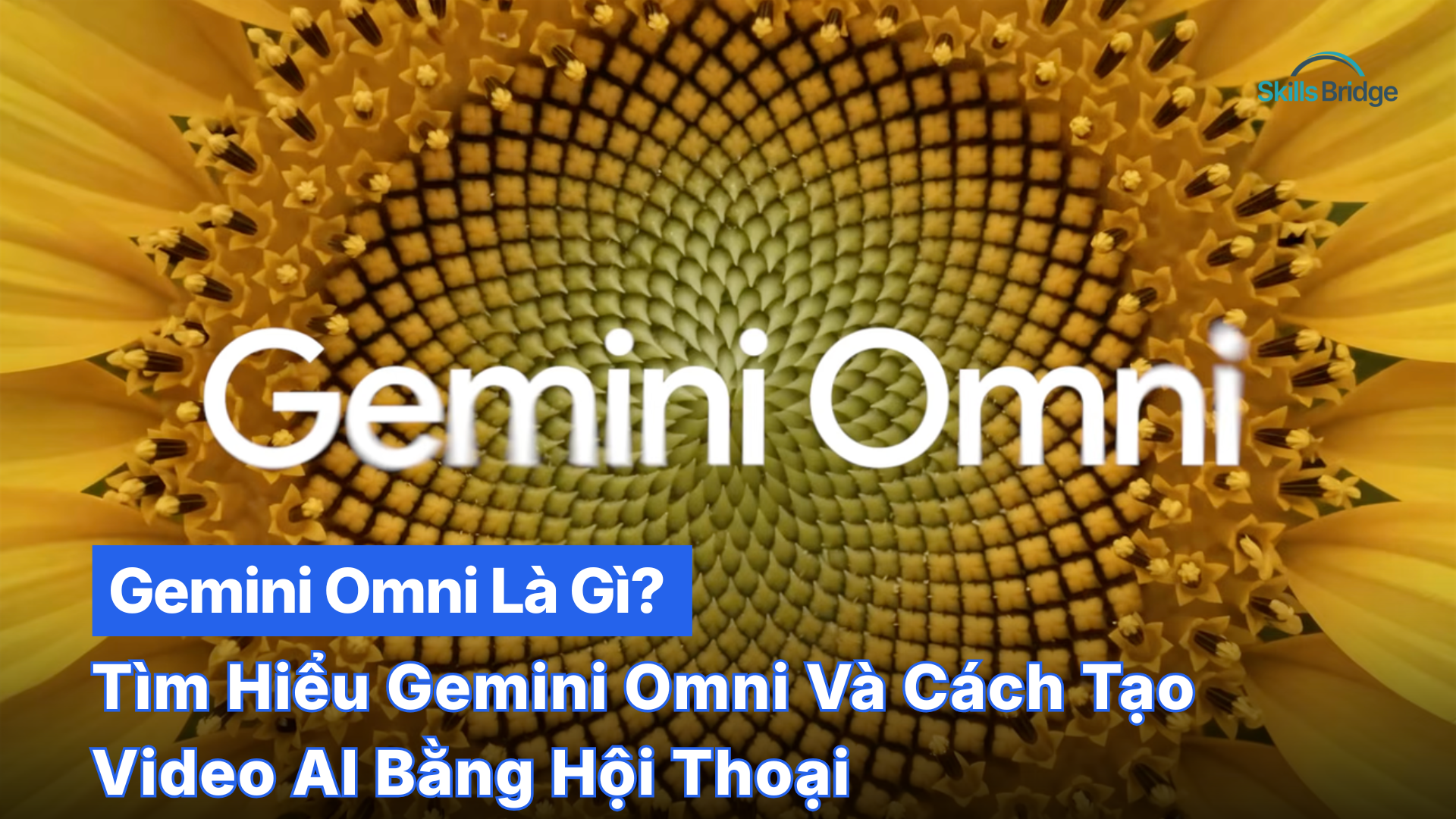 Gemini Omni Là Gì? Tìm Hiểu Gemini Omni Và Cách Tạo Video AI Bằng Hội Thoại